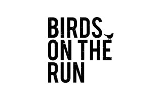 Fashion, Birds on the run,